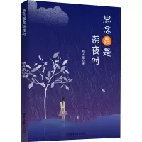 音像思念是深夜时杨开鹏