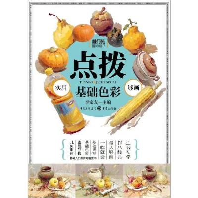 音像点拨(基础色彩)/敲门砖李家友