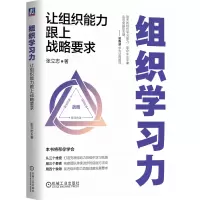 音像组织学习力:让组织能力跟上战略要求张立志 著