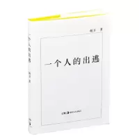 音像一个人的出逃(精)杨卫 著