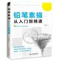 音像铅笔素描从入门到精通飞鸟乐