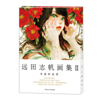 音像远田志帆画集Ⅱ:奇迹的延续[日]远田志帆