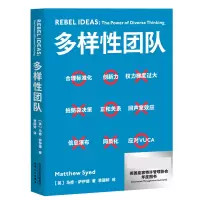 音像多样团队(英)马修·萨伊德