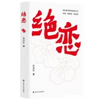 音像绝恋孙月红