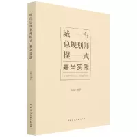 音像城市总规划师模式嘉兴实践沈磊