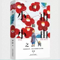 音像在小山和小山之间李停