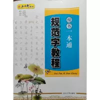 音像规范字教程-楷书一本通张鹏涛