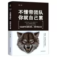 音像不懂带团队,你就自己累(6平装)李萌