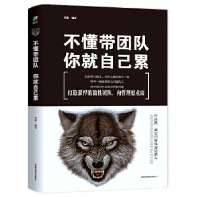 音像不懂带团队,你就自己累(6平装)李萌