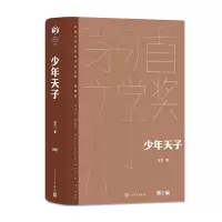 音像少年天子凌力