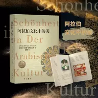 音像阿拉伯文化中的美多丽丝·贝伦斯-艾布赛义夫 著