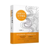 音像中国当代文学现场(2019-2020)王春林