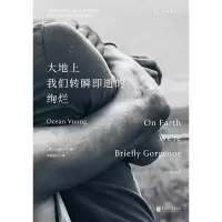 音像大地上我们转瞬即逝的绚烂(美)王鸥行(Ocean Vuong) 著