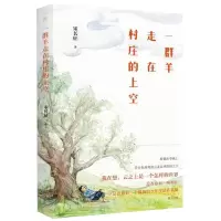 音像一群羊走在村庄的上空宋长征
