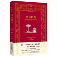 音像蘑菇图鉴五