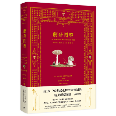 音像蘑菇图鉴五