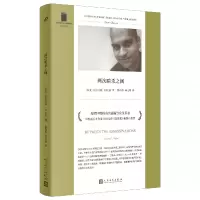 音像两次暗杀之间(短经典精选·软精装)阿拉文德·阿迪加