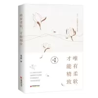 音像唯有柔软,才能精致李少聪