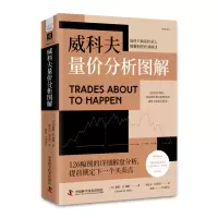 音像威科夫量价分析图解[美]戴维·H. 魏斯