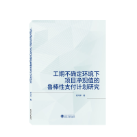 音像工期不确定环境下项目净现值的鲁棒支付计划研究梁洋洋 著