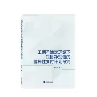 音像工期不确定环境下项目净现值的鲁棒支付计划研究梁洋洋 著