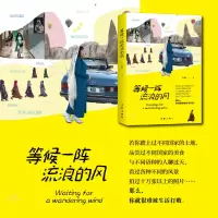 音像等候阵浪的风孙瑜