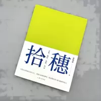 音像拾穗:艺术,创作,反思,自己赵穗康