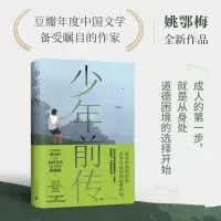 音像少年前传姚鄂梅