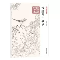 音像线描写生教学临摹范本编者:刘明孝|责编:王玉菊