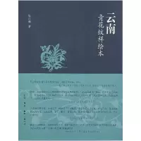 音像云南青花纹样绘本吴白雨