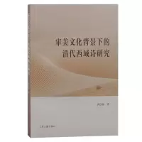 音像审美文化背景下的清代西域诗研究唐彦临 著
