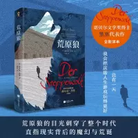 音像荒原狼[德]赫尔曼·黑塞
