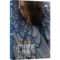 音像“天际线”丛书:怎样理解一只鸟(美国)童文菲