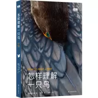 音像“天际线”丛书:怎样理解一只鸟(美国)童文菲