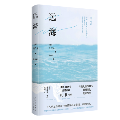 音像远海〔韩〕孔枝泳 著 徐丽红 译