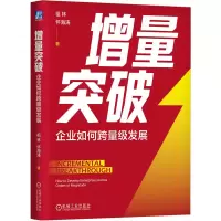 音像增量突破:企业如何跨量级发展祖林、怀海涛