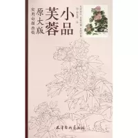 音像芙蓉小品(原大版实用白描画稿)总主编:刘建超|绘画:郝良彬