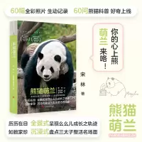 音像熊猫萌兰宋林