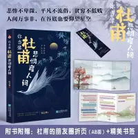 音像你当像杜甫悲悯度人间纪云裳