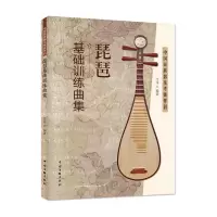 音像琵琶基础训练曲集江洋