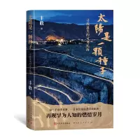 音像太阳是一颗种子:寻找遗失的可可托海丰收