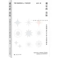 音像理论的边际——中国现当代文学与美学探思金浪 著