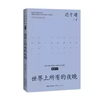 音像世界上所有的夜晚(中篇小说经典系列)迟子建 著