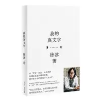 音像我的真文字徐冰