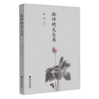 音像批评的尖尖角(精)张勐|责编:周烨楠