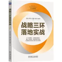 音像战略三环落地实战王钺 袁中华 方向晖 吴凯 钟金来