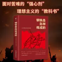 音像钢铁是怎样炼成的(新版平装)[苏联] 奥斯特洛夫斯基