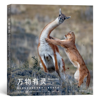 音像万物有灵:国际野生生物摄影年赛第55届获奖作品