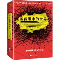 音像盖普眼中的世界(美)约翰·欧文|译者:黄贞