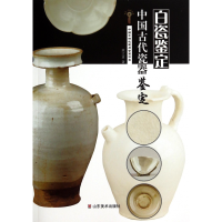 音像中国古代瓷器鉴定(白瓷鉴定)/中国文物收藏与鉴赏书系姚江波